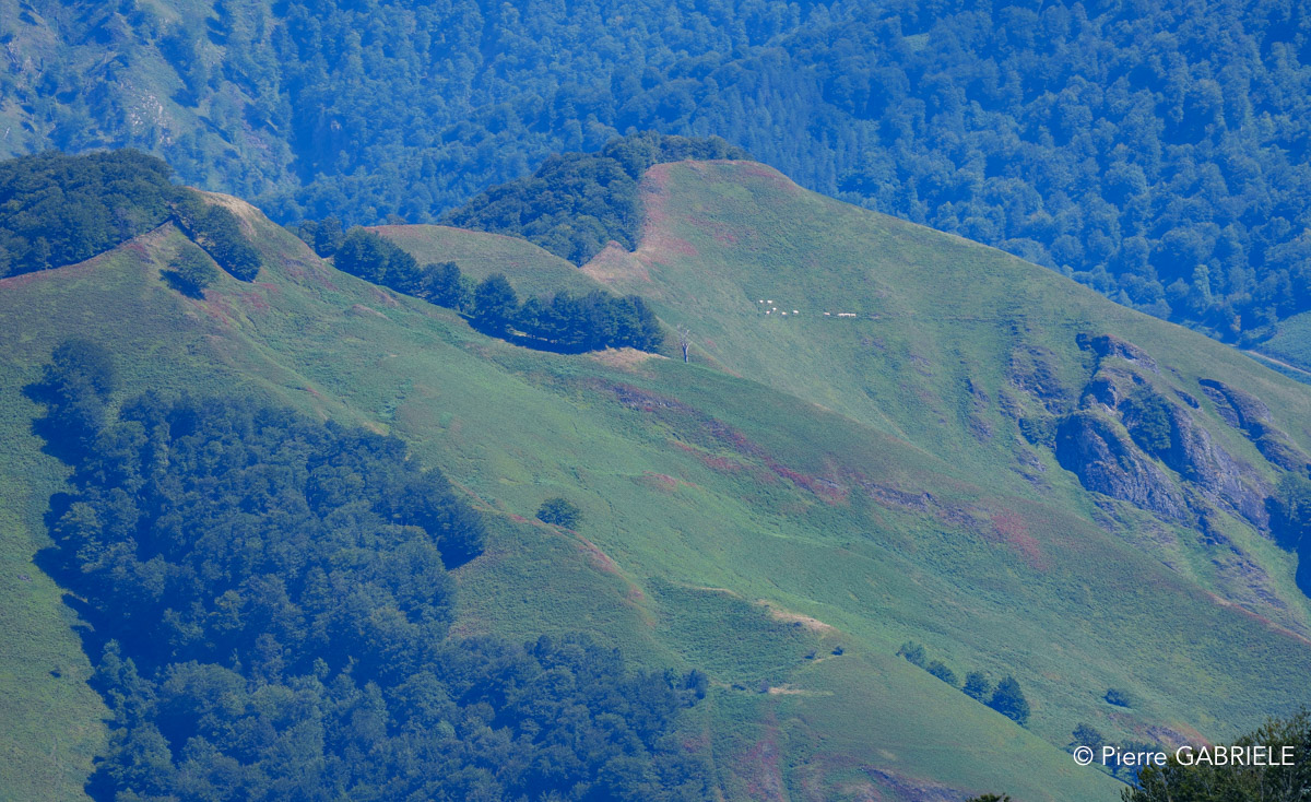 pays-basque-a74n_05794.jpg