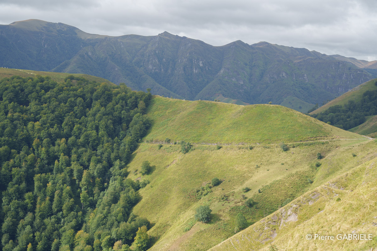 pays-basque-a7c2_00489.jpg