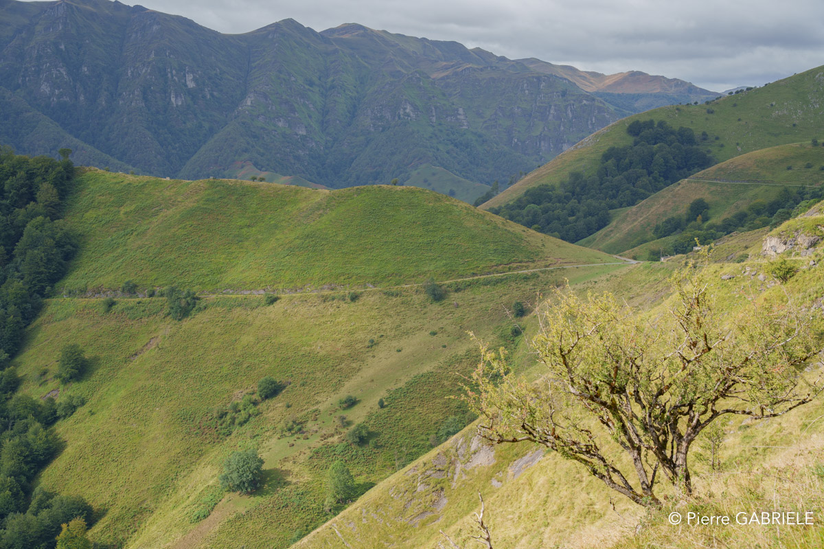 pays-basque-a7c2_00491.jpg