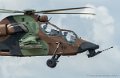tigre_5579