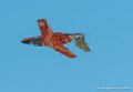 sab105_6390