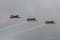 l39-jordanie-d500_5641