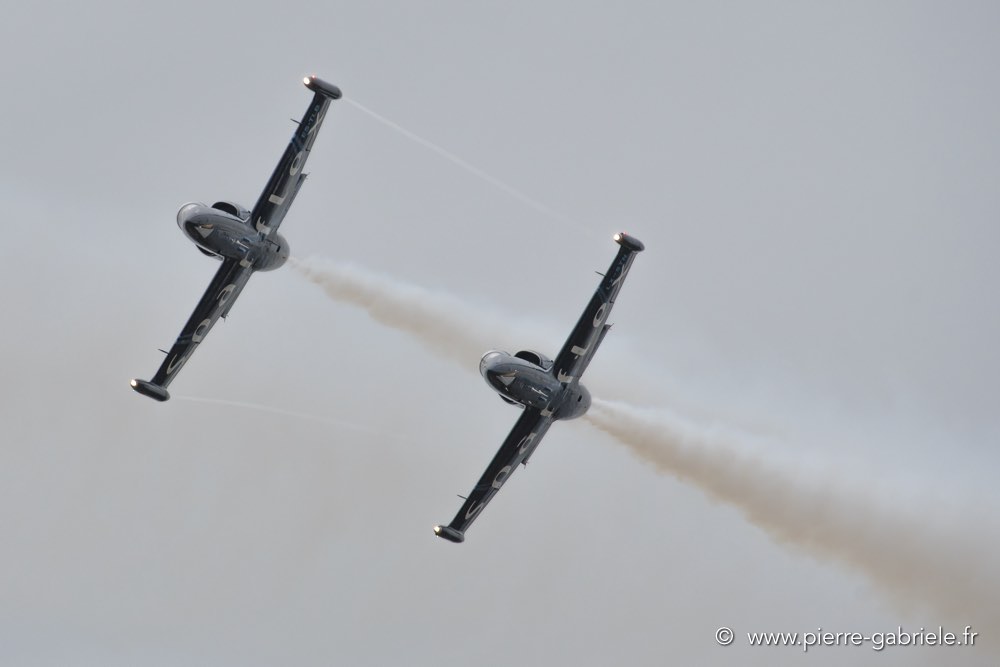 l39-d500_5439.jpg