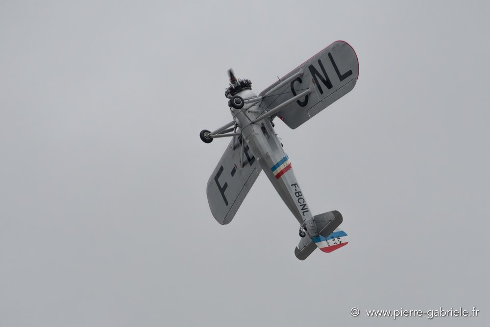 ms317-d500_5376.jpg