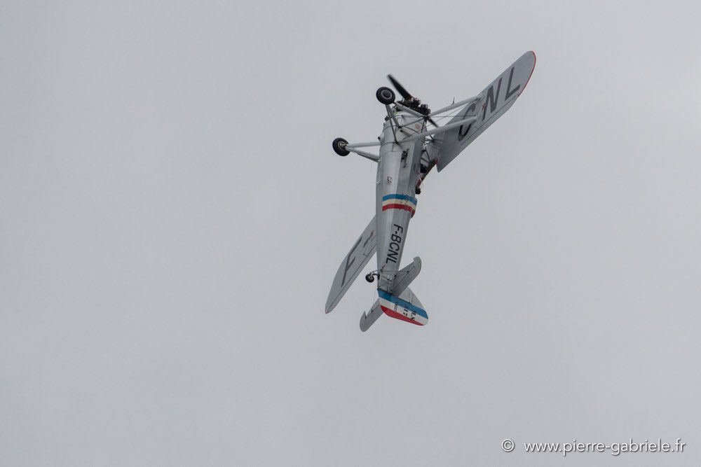 ms317-d500_5377.jpg