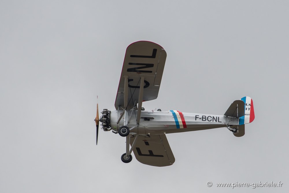 ms317-d500_5380.jpg