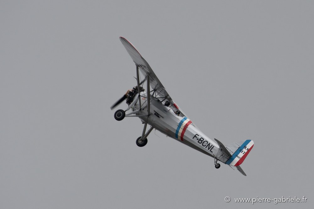 ms317-d500_5381.jpg