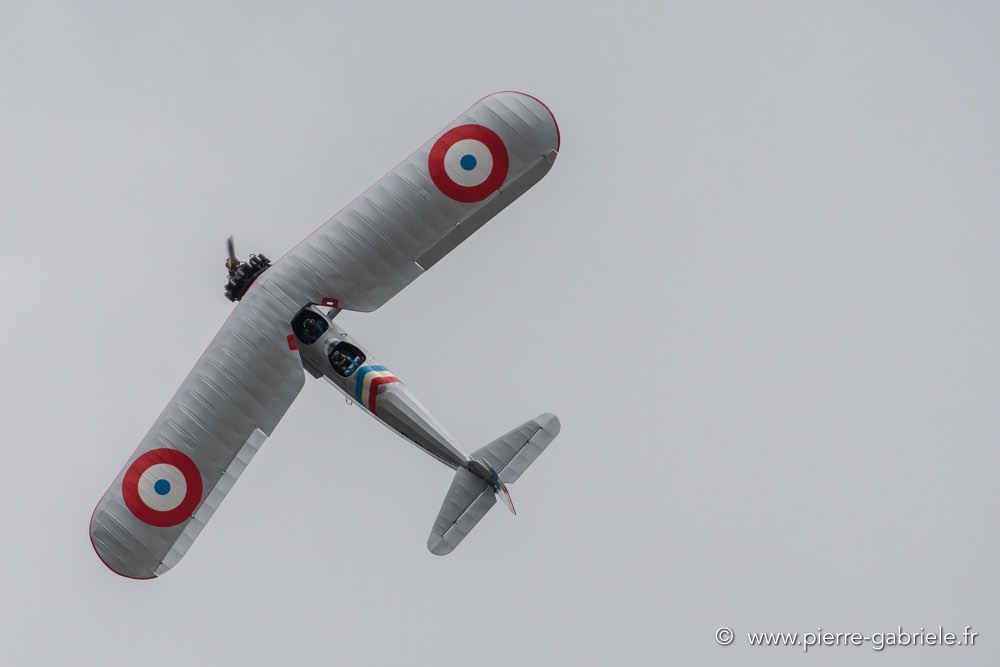 ms317-d500_5382.jpg