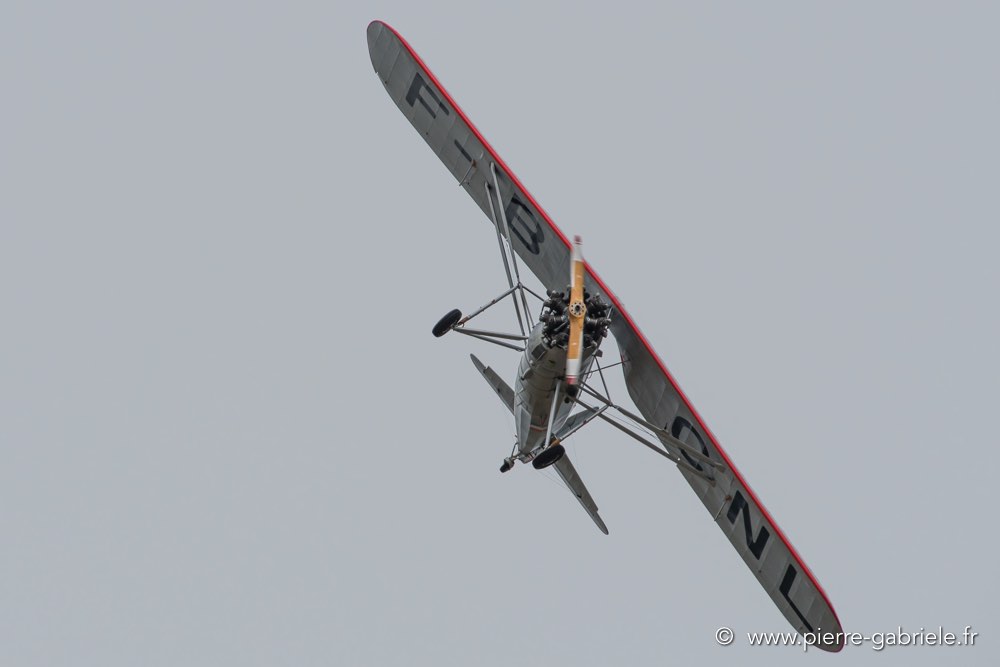 ms317-d500_5384.jpg