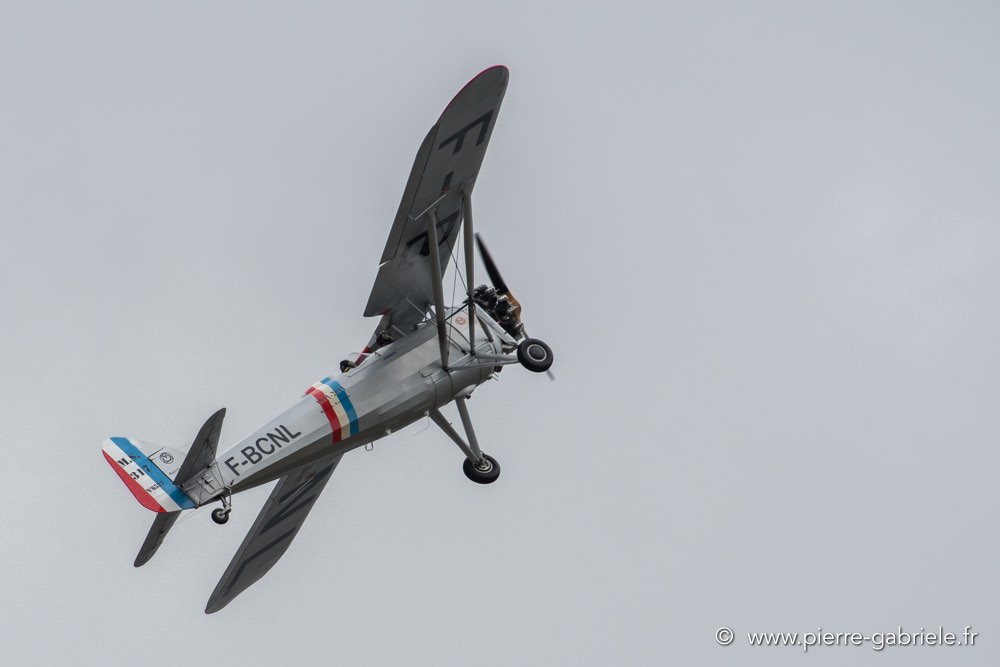 ms317-d500_5385.jpg