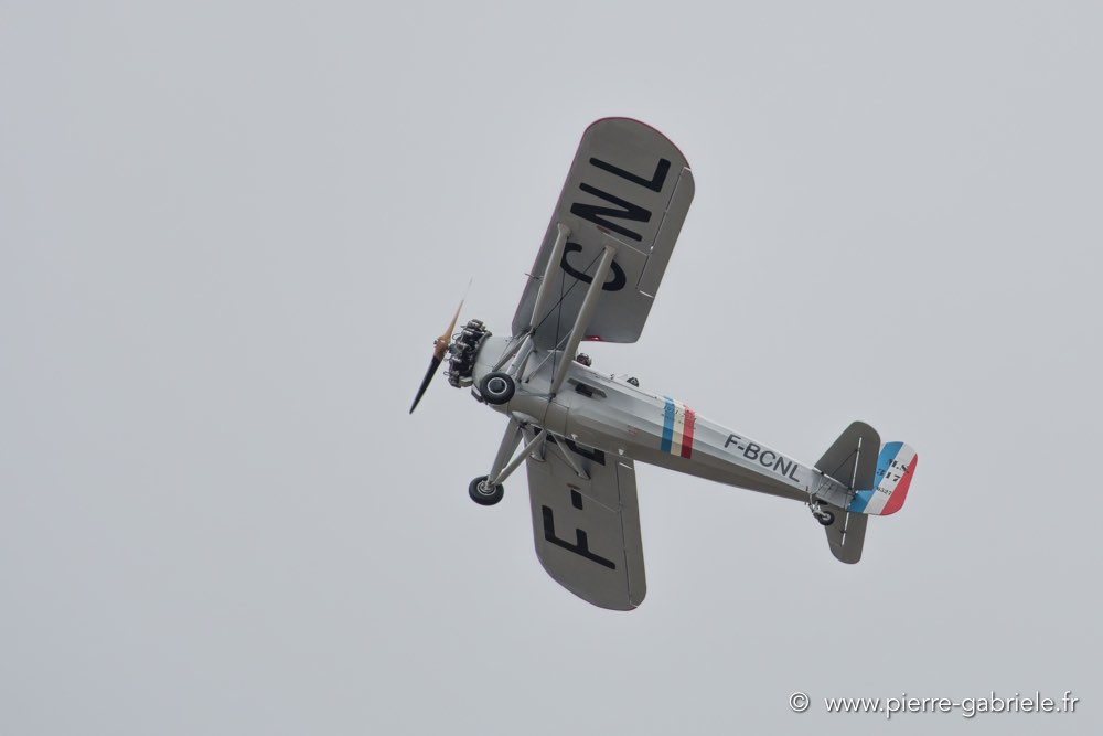ms317-d500_5386.jpg