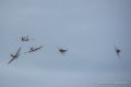 pc9-croatie-d750_6836