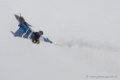 rafale-rsd-d500_5789