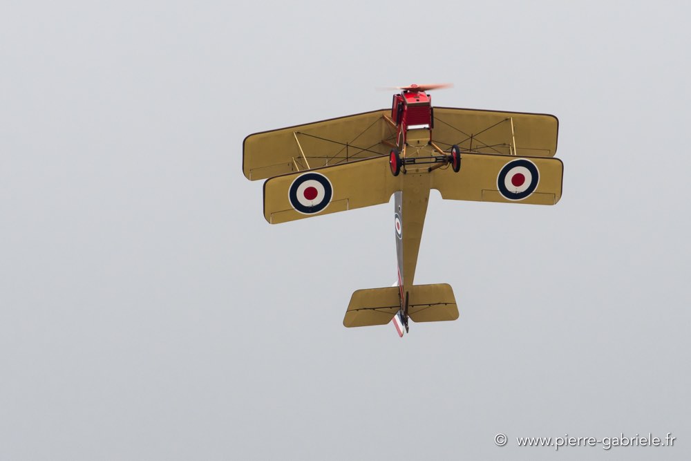se5-d500_5372.jpg