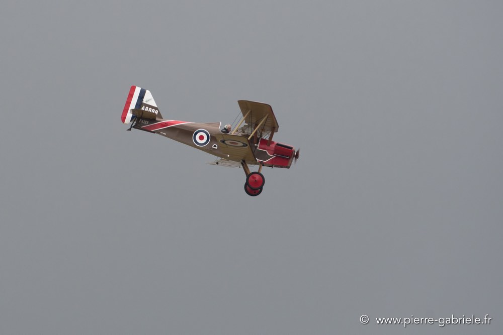 se5-d500_5374.jpg