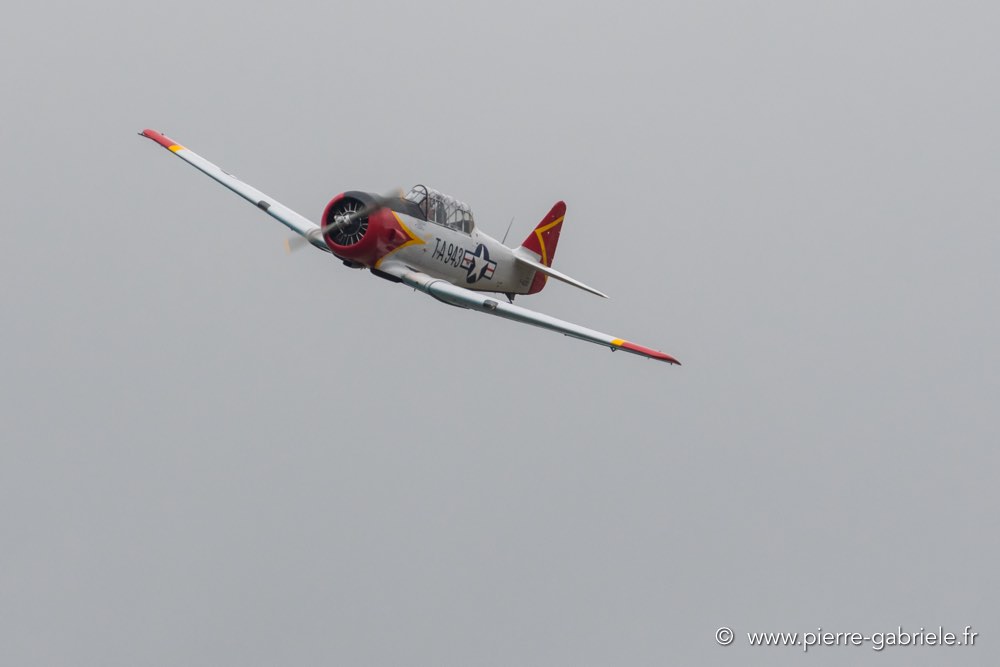 t6-d500_5145.jpg