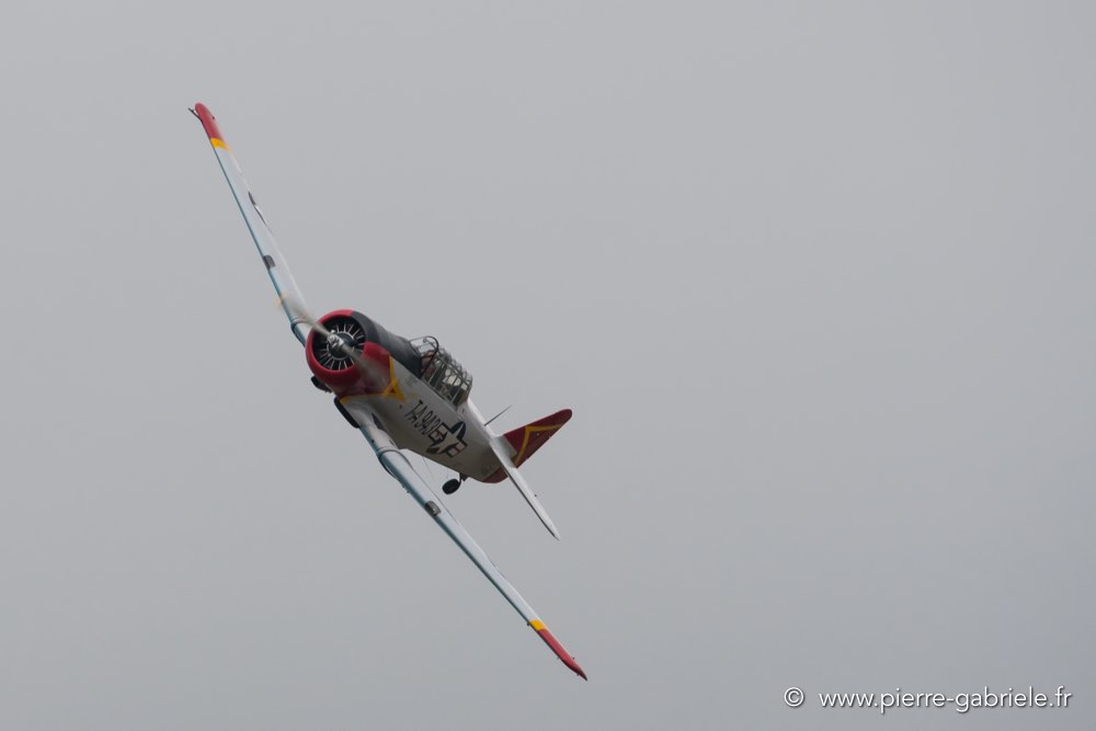 t6-d500_5146.jpg
