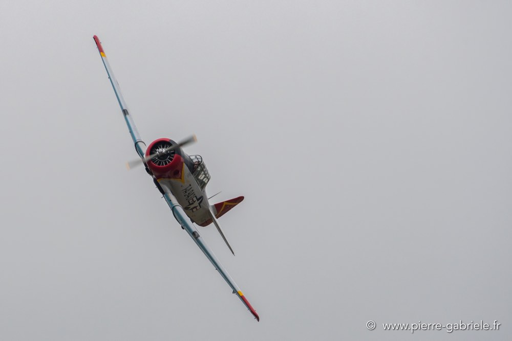 t6-d500_5147.jpg