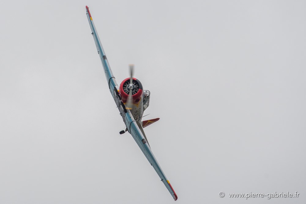t6-d500_5148.jpg