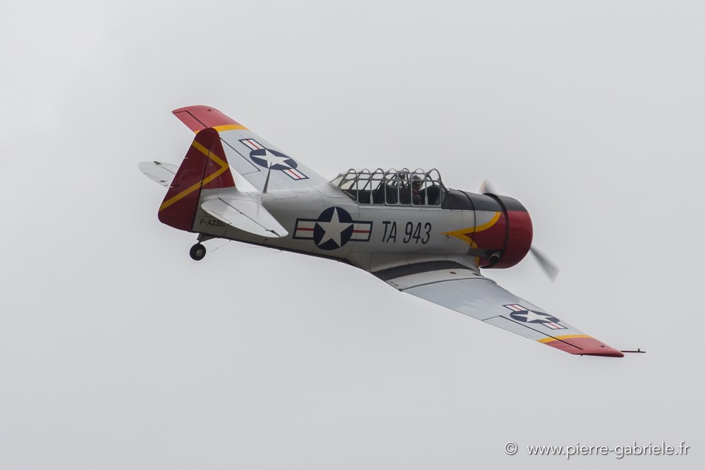 t6-d500_5151.jpg