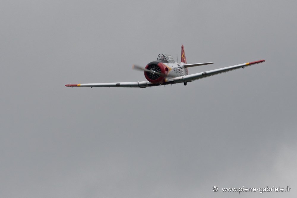 t6-d500_5152.jpg