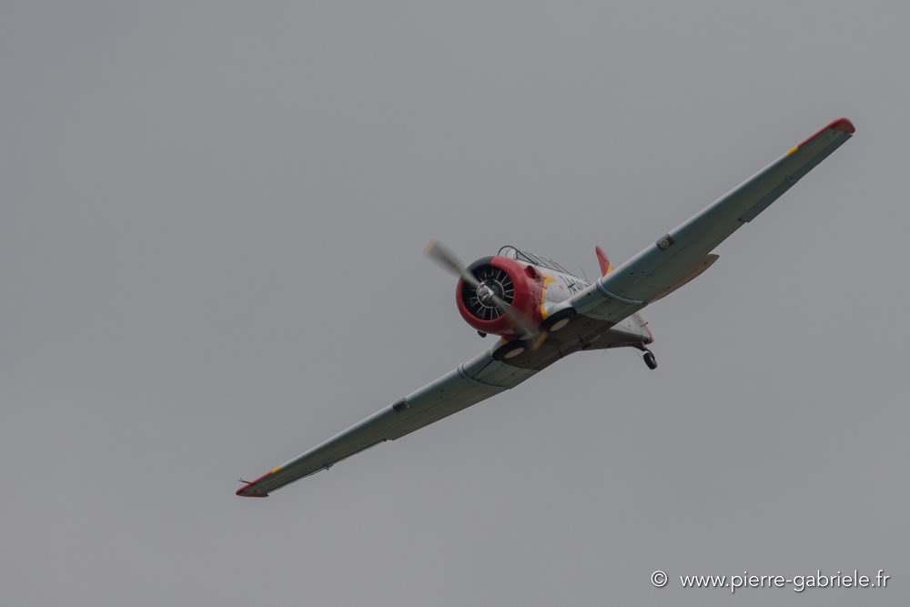 t6-d500_5154.jpg
