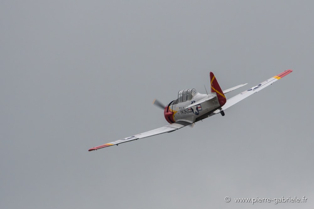 t6-d500_5156.jpg