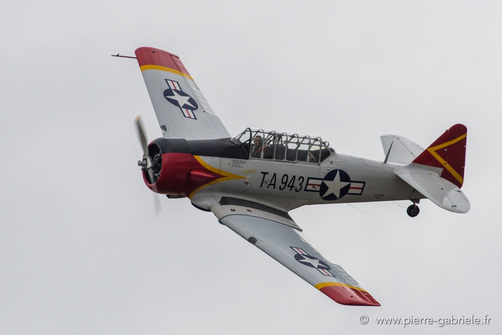 t6-d500_5160.jpg