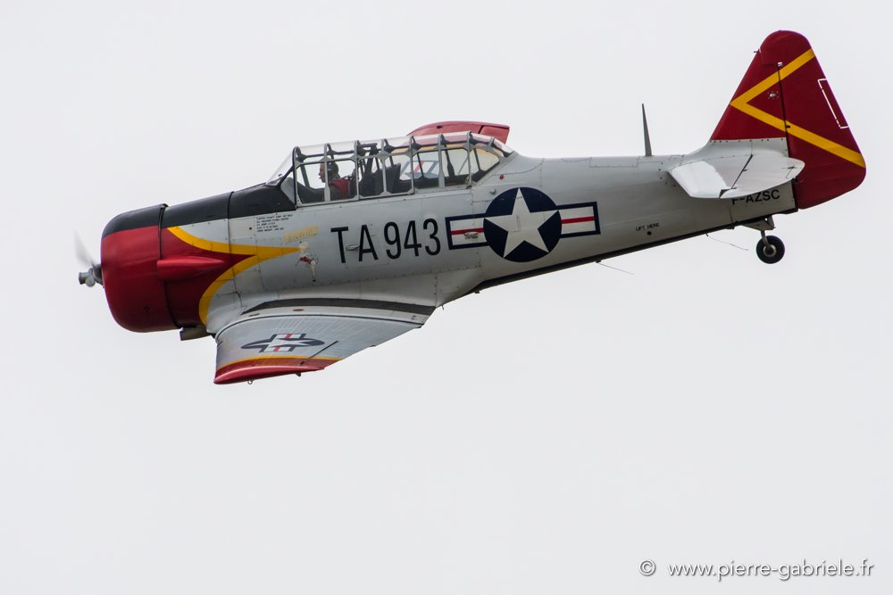 t6-d500_5163.jpg