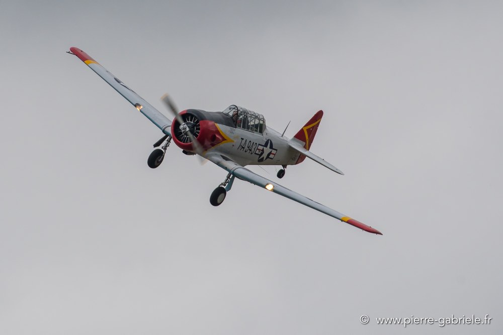 t6-d500_5166.jpg