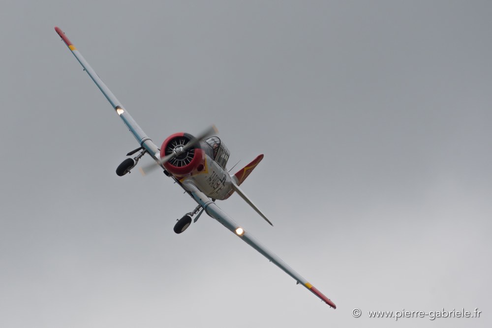 t6-d500_5167.jpg