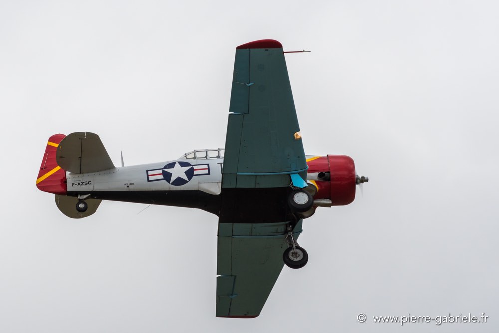 t6-d500_5168.jpg