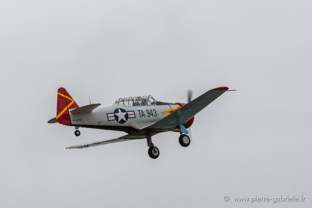 t6-d500_5169.jpg
