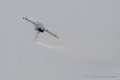 typhoon-d500_5290