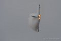 typhoon-d500_5324