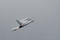 typhoon-d500_5354