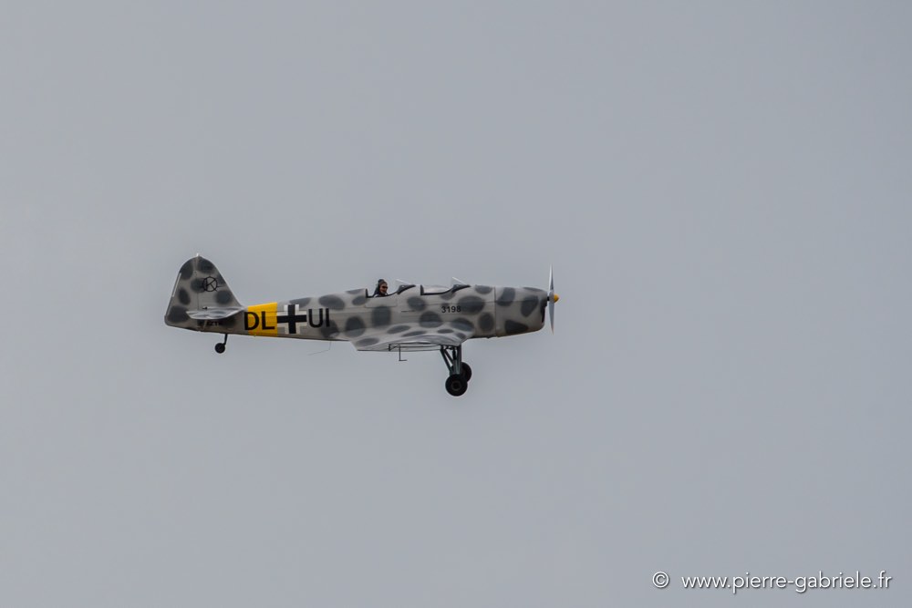 klemm35-d500_4953.jpg