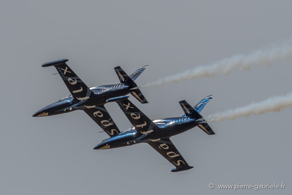 l39-d500_4866.jpg
