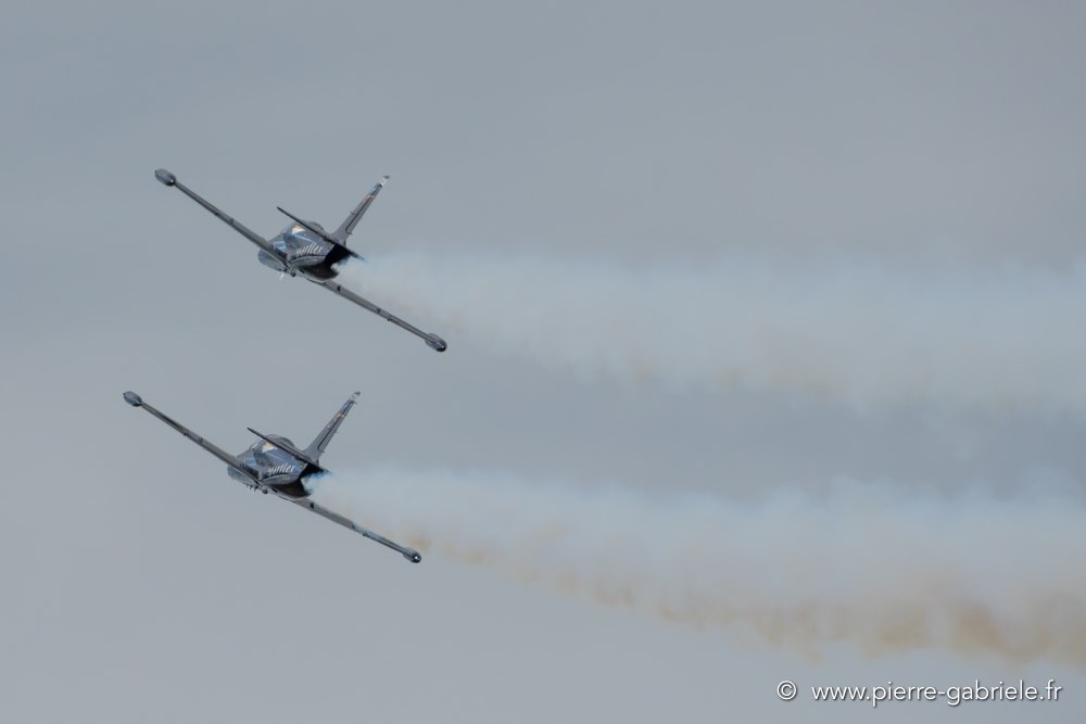 l39-d500_4867.jpg