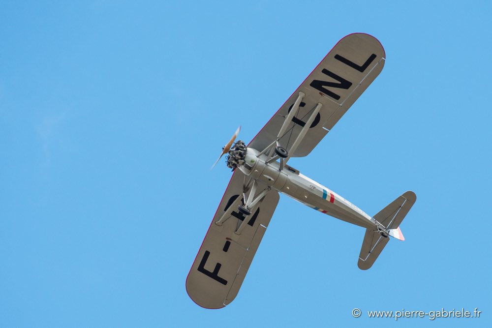 ms317-d500_4938.jpg