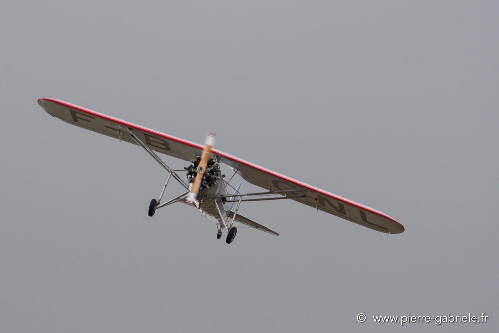 ms317-d500_4942.jpg