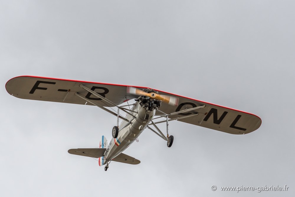 ms317-d500_4945.jpg