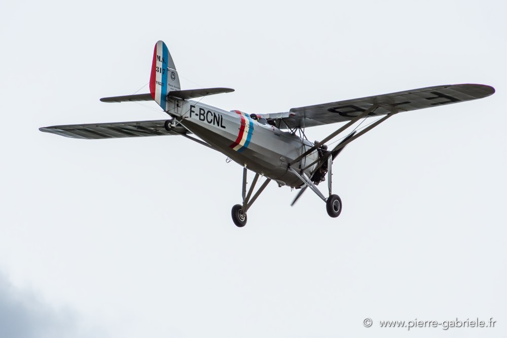 ms317-d500_4946.jpg
