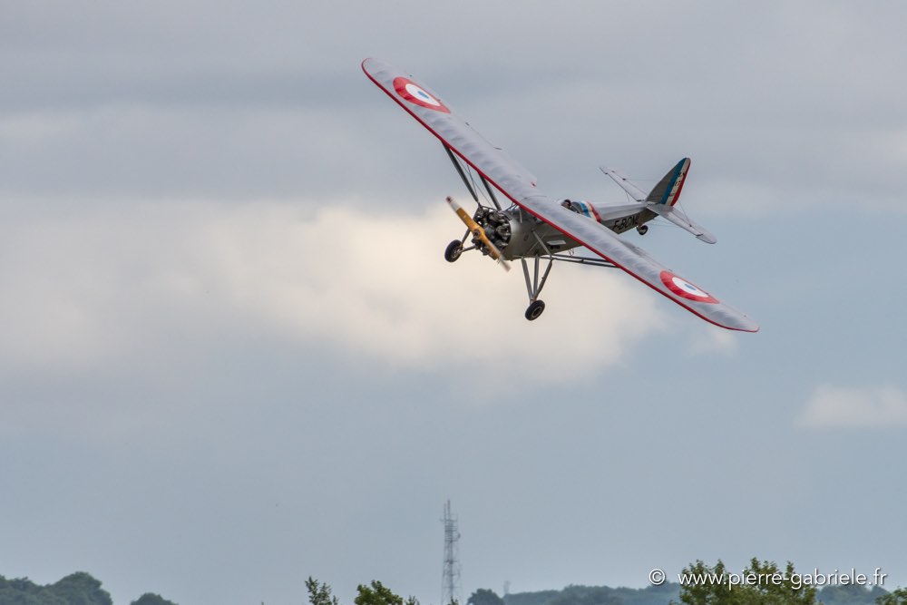 ms317-d500_4948.jpg