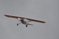 ms317-d500_4941