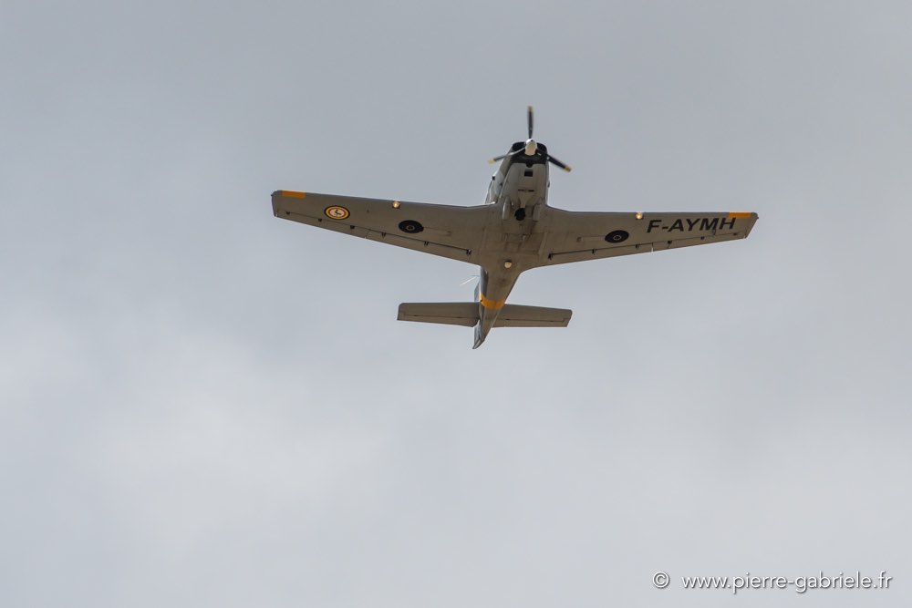 piaggio-p149-d500_4910.jpg