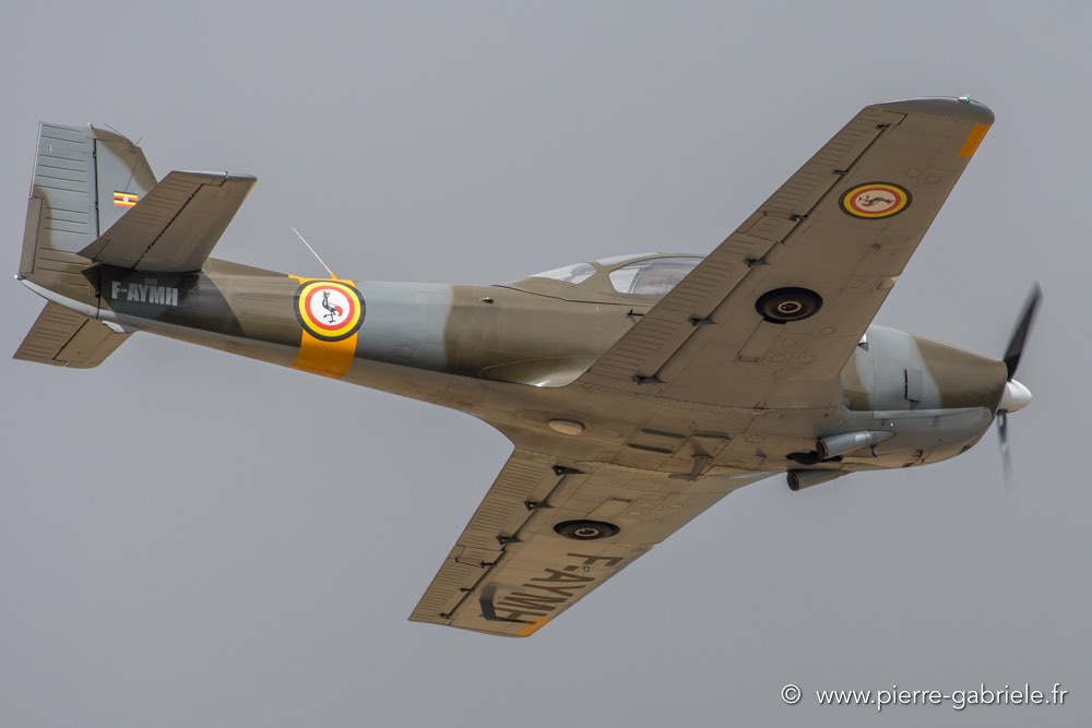 piaggio-p149-d500_4917.jpg
