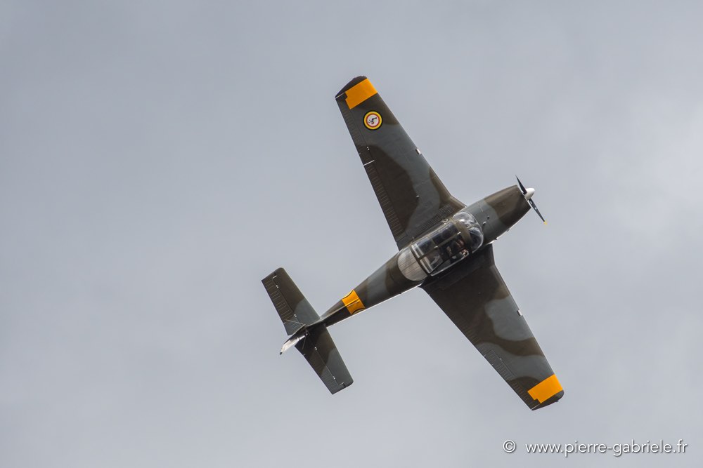 piaggio-p149-d500_4921.jpg