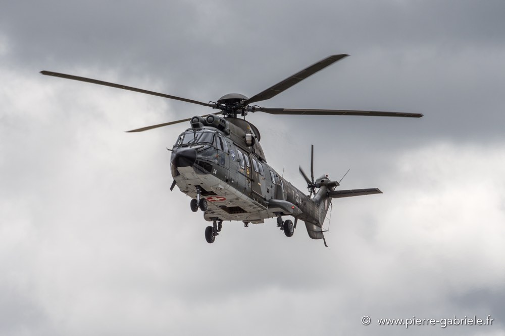 puma-d500_4232.jpg