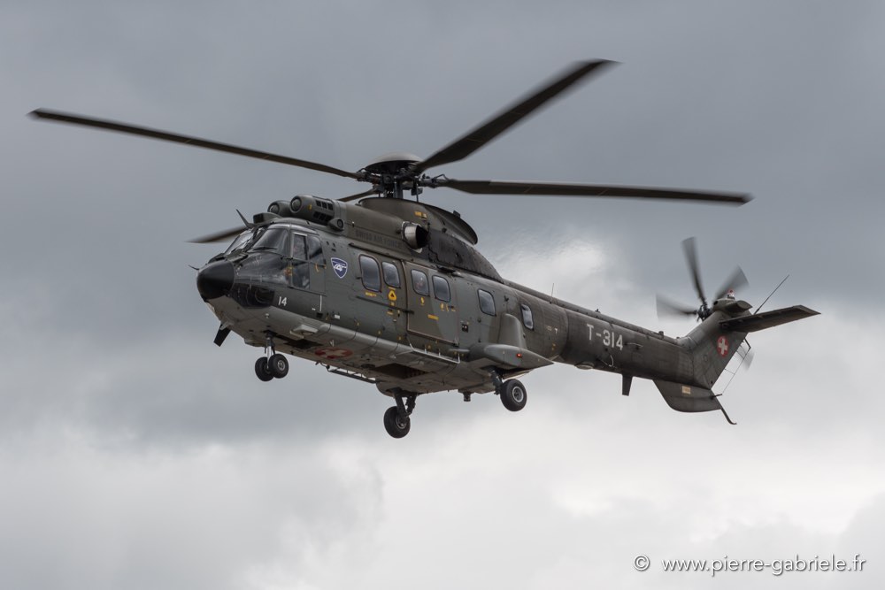 puma-d500_4233.jpg